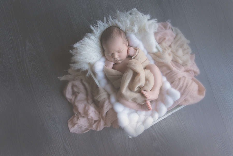 seance photo de naissance en studio photographe bébé famille nouveau né sur tourcoing nord lille - one moment photographie - 1