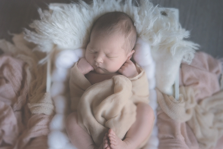 seance photo de naissance en studio photographe bébé famille nouveau né sur tourcoing nord lille - one moment photographie